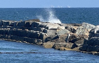 Marine Concrete 